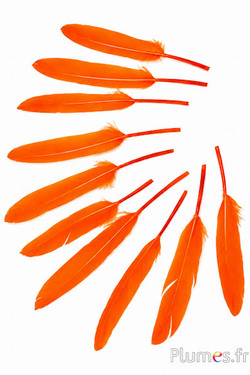 Gans - 10-15 cm - oranje